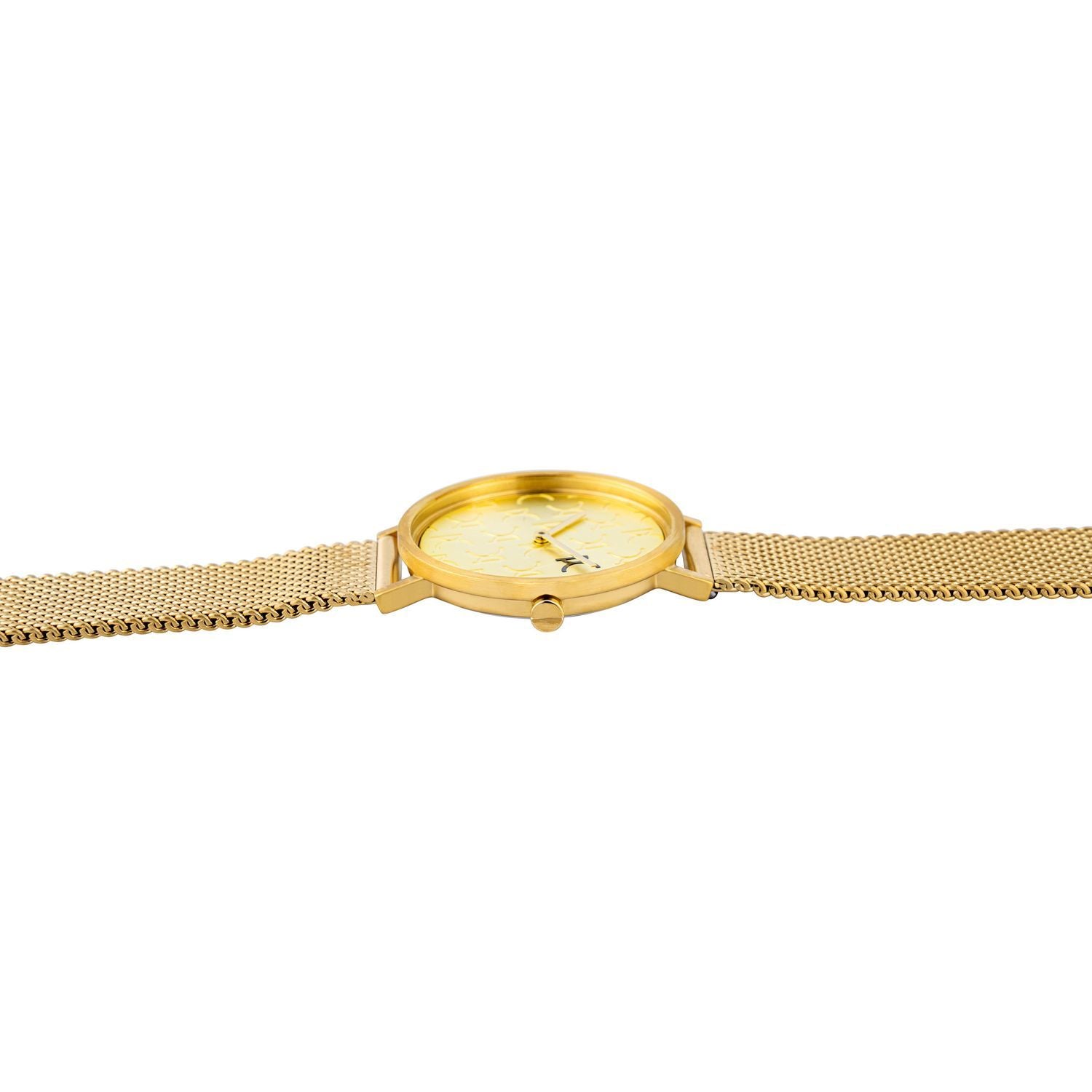 Pierre Cardin Gold Women Watch