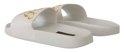 Dolce &amp; Gabbana Chic White Leather Slides with Gold Embroidery