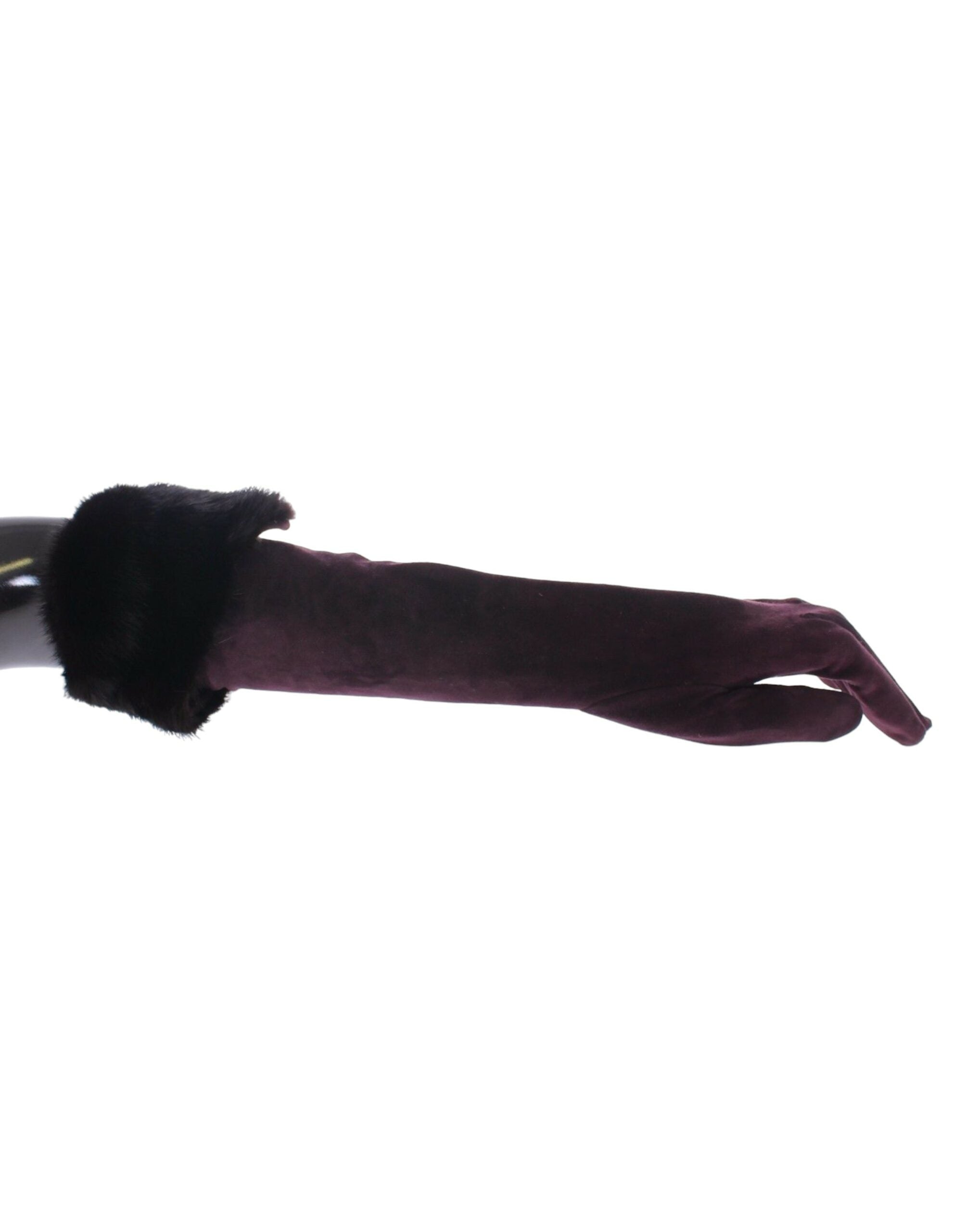 Dolce &amp; Gabbana Elegant Elbow Length Purple Fur Gloves