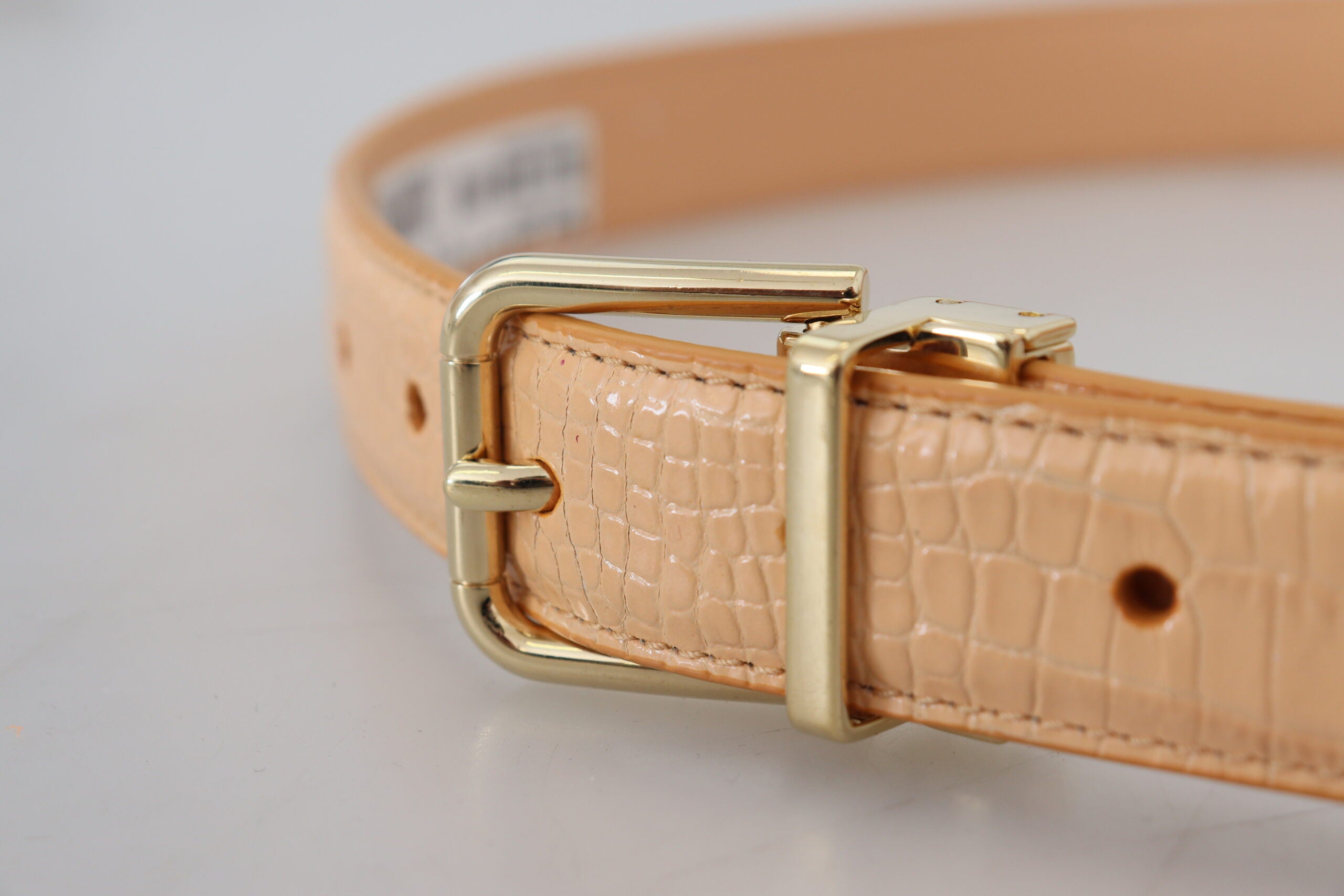 Dolce &amp; Gabbana Beige Exotic Leather Gold Metal Buckle Belt