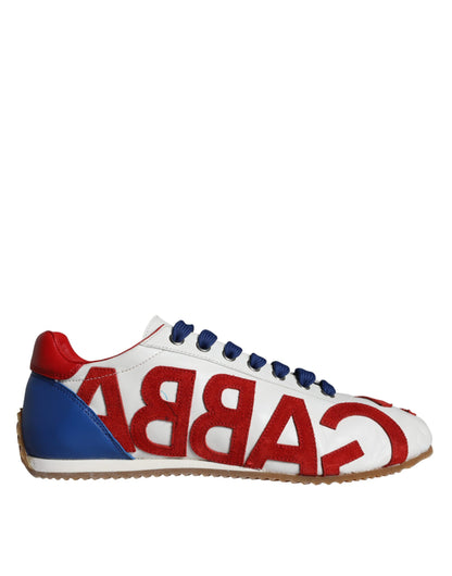 Dolce &amp; Gabbana Multicolor Leather Logo Casual Sneakers Shoes