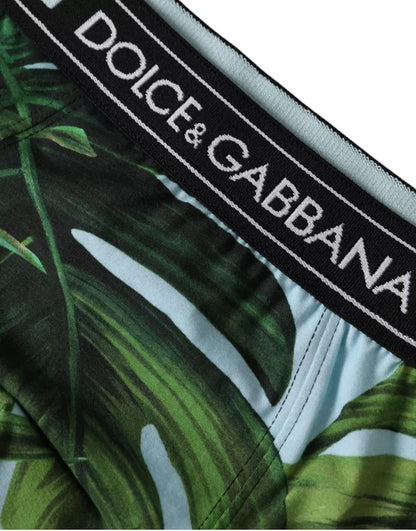 Dolce &amp; Gabbana Multicolor Leaf Print Regular Boxer Underwear