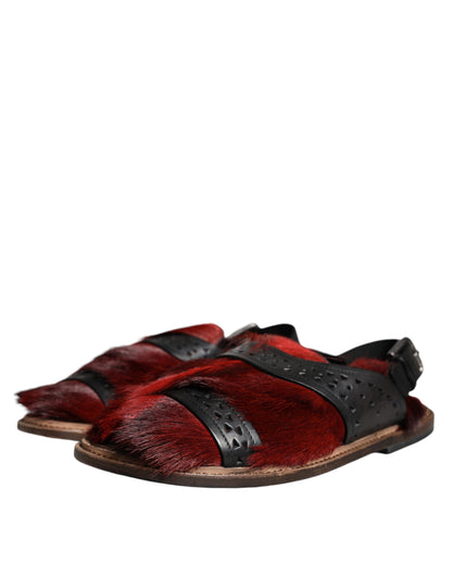 Dolce &amp; Gabbana Black Red Gazelle Hair Leather Sandals Shoes