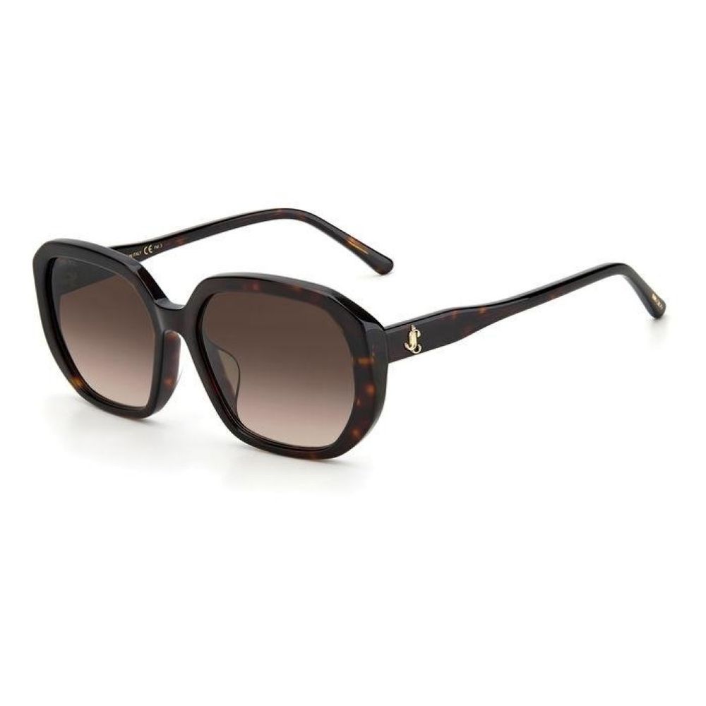 Jimmy Choo Brown Acetate Sunglasses