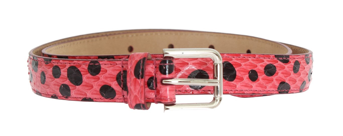 Dolce &amp; Gabbana Polka Dot Snakeskin Belt with Silver Buckle